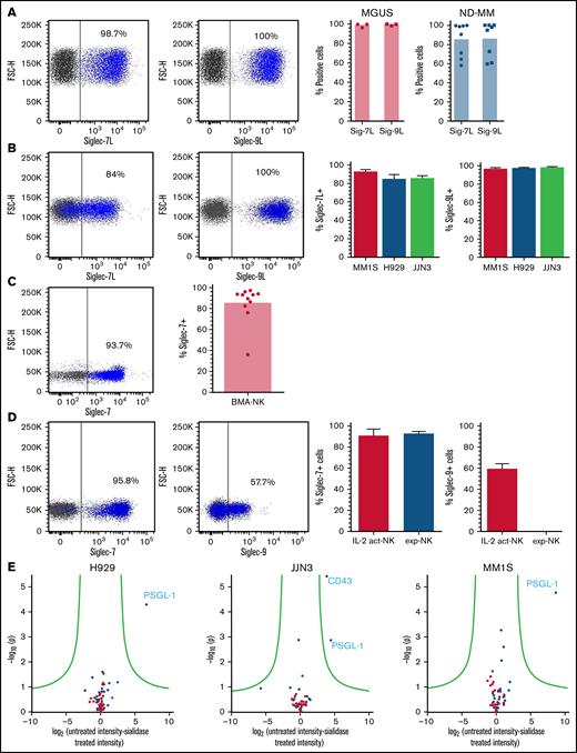 Siglec-7 and Siglec-9 ligands, and their concomitant receptors, are expressed by MM and NK cells, respectively. Using recombinant Siglec-7 and Siglec-9 chimeras, primary MM cells isolated from BMAs supplied by MGUS and newly diagnosed (ND) patients (A) and a panel of commonly used MM cell lines (B) were stained for Siglec-7L and Siglec-9L expression. (C) Using a fluorescently labeled anti–Siglec-7 antibody primary NK cells from BMAs of patients with MM were screened for the expression of Siglec-7. (D) Primary NK cells (IL-2 activated and expanded) were stained for Siglec-7 and Siglec-9 expression. (E) To elucidate the identity of Siglec-7L in MM, mass spectrometry was carried out on proteins bound to Siglec-7 Fc chimera-magnetic bead complexes after incubation with MM1S, H929, and JJN3 cell lysates untreated or treated with neuraminidase. (A-D) Combined data represented as bar graphs and an representative dot blot from one individual MM BMA sample or biological repeat. Data in E are represented as a volcano plot. n = 8 independent samples for ND. (A) n = 3 for MGUS. (B) n = 3 biological replicates. (C) n = 11; (D) n = 7; (E) n = 3.