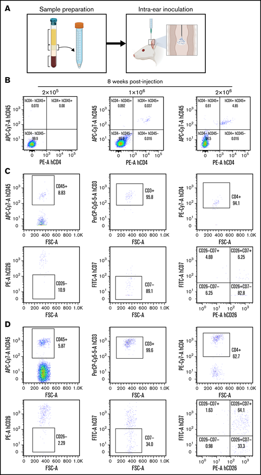 Robust in vivo xenograft model of patient-derived SS. (A) Schematic representation of the procedure used to generate the SS xenograft. (B-C) FC analysis of PB from mice at 8 weeks after transplantation with different numbers of SS cells from patient #23. (C) FC analysis with the indicated marker to confirm the outgrowth of malignant CD4+; CD7– SS cells in the recipient mice. (D) Same analysis as in panel C from the bone marrow (BM) of a mouse transplanted with mononucleated cells from a healthy donor.