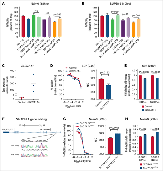 Modulation of SLC7A11 alters ALL cell line sensitivity to LASP. (A-B) Rescue of LASP-mediated cell death by sulfasalazine in Nalm6 (A) and SUPB15 (B) cells. Each cell line was treated with sulfasalazine (SAS; 500 µM or 1 mM), LASP (0.001 IU/mL, 1 IU/mL, and 10 IU/mL), or both drugs for 12 hours before assessment of cell viability (t test; P ≤ .05; n = 4 independent experiments; mean ± SEM). (C) Relative SLC7A11 overexpression in 697 cells (n = 3 independent experiments). (D) Dose–response (left) after 24 hours of LASP treatment following transient overexpression of SLC7A11 in 697 cells and changes in area under the curve (AUC) (right, P < .05; n = 3 independent experiments; mean ± SEM). (E) Change in cell viability between control and SLC7A11 overexpressing 697 cells as fold change relative to control cells is shown after 1 IU/mL (left) and 10 IU/mL (right) of LASP treatment for 24 hours (P < .01; n = 12 independent experiments; mean ± SEM). (F) Depiction of the edited region of SLC7A11 gene sequence in exon 2 in Nalm6 cells. WT = SLC7A11 wildtype, INS = SLC7A11 insertion. (G) Dose–response (left) after 72 hours of LASP treatment and changes in AUC (right) in Nalm6 SLC7A11-disrupted cells (SLC7A11wt/ins) compared with wildtype Nalm6 cells (SLC7A11wt/wt; P < .05; n = 3 independent experiments; mean ± SEM). (H) Change in cell viability between SLC7A11wt/wt and SLC7A11wt/ins Nalm6 cells as fold change relative to wild-type cells is shown after 0.0001 IU/mL (left) and 0.0006 IU/mL (right) of LASP treatment for 72 hours (P < .01; n = 18 independent experiments; mean ± SEM).