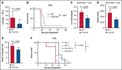 Deficiency of FLOT2 in LICs prolongs survival in CML. (A-B) Leukocyte counts × 103/μL in PB (P = .0193; t test; n = 11-13) 14 days after transplantation (A) and Kaplan-Meier-style survival curve (B) of C57BL/6 recipient mice transplanted with BM from C57BL/6 (WT; solid line, red) or Flot2 KO (dotted line, blue) mice, transduced with BCR–ABL1-expressing retrovirus (P < .0001; log-rank test; n = 9). (C-D) Percentage of total leukocytes (P = .0275; t test; n = 3) (C) and absolute number per femur of GFP+ (BCR-ABL1+) WT (red) or Flot2 KO (blue) LKS cells (P = .0462; t test; n = 3) (D), which homed to the BM of WT mice 18 hours after transplantation. (E) Quantification of proviral integration sites, as tested by long-distance inverse (LDI) PCR on DNA derived from spleens of WT mice which had been transplanted with WT (red) or Flot2 KO (blue) BCR–ABL1-transduced BM in the CML model (P = .0007; t test; n = 12). (F) Kaplan–Meier-style survival curve of WT recipient mice transplanted with BM from WT (red) or Flot2 KO (blue) mice, transduced with BCR–ABL1-expressing retrovirus. An equal number of cells (2.5 × 105) was injected either IV (i.v.) or intrafemorally (i.f.) (P = .0035; log-rank test; n = 5-8).