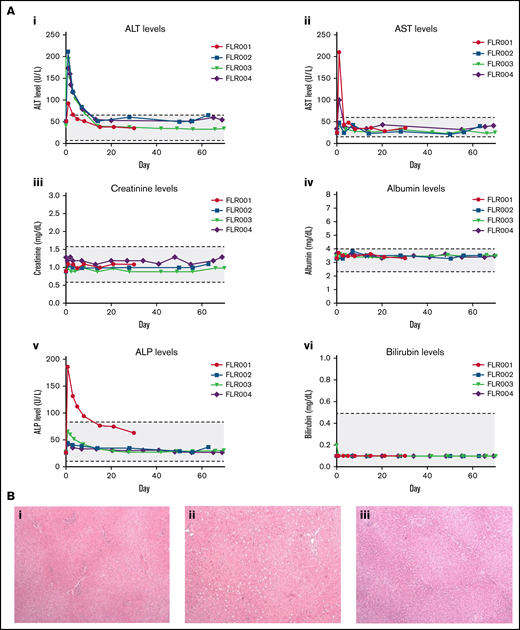 Examination of potential liver damage after UMGD. (A) Blood samples were collected from each UMGD-treated dog at multiple time points during week 1 after surgery and then at weekly time points for the length of the study. Several biomarkers were examined to assess liver tissue damage and toxicity: (i) ALT, (ii) AST, (iii) creatinine, (iv) albumin, (v) ALP, (vi) bilirubin, and others (data not shown). Values are plotted with the normal range for dogs indicated in gray. (i) FLR001 was euthanized at 30 days after surgery, and (ii) FLR002 and (iii) FLR004 were euthanized at 60 days after surgery. Liver sections were fixed in 10% formalin, paraffinized, and examined by a pathologist. (B) Slides were stained with hematoxylin and eosin and imaged at 10× magnification with representative images shown here. All liver histology is within the normal range, and these sections show treated LLLs from each dog.