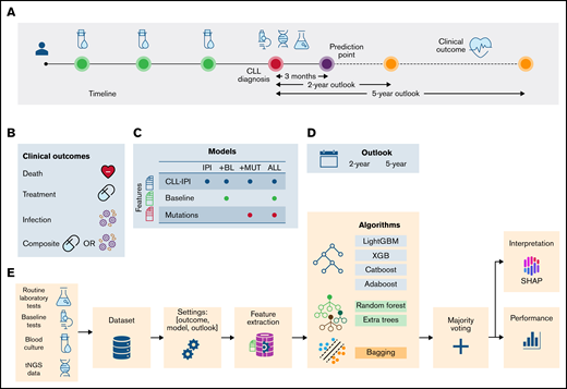Schematic representation of the data collection and analysis. (A) Data from different data sources, including baseline tests (), routine laboratory tests (), and recurrent mutations (), were combined to construct a heterogeneous data set. Prediction point was set at 3 months postdiagnosis, and clinical outcomes () were predicted. (B) The clinical outcomes were death (), treatment (), the combined event of treatment or infection (composite), and infection (). (C) Based on the combination of feature sets, 4 models were defined: (1) IPI, which included CLL-IPI score and the CLL-IPI features only; (2) +BL, which included CLL-IPI features, baseline tests, and routine laboratory tests; (3) +MUT, which included CLL-IPI features and recurrent mutations; and (4) ALL, which included all features. (D) Clinical outcomes were predicted in 2- and 5-year outlooks postdiagnosis (except for the first 3 months). (E) The data from different sources were merged to create one data set (). Then, for a specific outcome and outlook, the target values were created and later used in the training/test (). Based on the model, feature extraction was performed (). A stacked ML model consisting of 7 algorithms and a fusion stage based on majority voting was trained and tested. The performance of the models () and the contribution of the features () were estimated to identify the risk factors predictive of each combination of outcome, model, and outlook. tNGS, targeted next-generation sequencing.