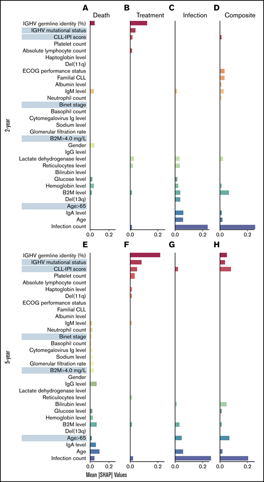 Identified risk factors predictive of the outcomes. SHAP plots on the full cohort illustrate the contribution of the most important features in predicting the clinical (mean absolute SHAP values >0.01) in 2-year outlook (A-D) and 5-year outlook (E-H). Death (A,E), treatment (B,F), treatment or infection (C,G), and infection (D,H). The cluster of features predictive of different outcomes was detected after sorting the features so that the most important features predictive of treatment appear at the top (red) and the most important features predictive of infection appear at the bottom (blue). The features more predictive of death or the composite outcome and not treatment or infection appear in the middle. ECOG, Eastern Cooperative Oncology Group; Ig, immunoglobulin.