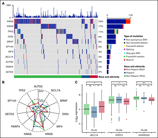 Tumor molecular differences by race and ethnicity. (A) Oncoplot of selected tumor somatic mutations in MM patients by race and ethnicity. Each row is a gene and vertical lines are individual patients, grouped by race and ethnicity. Each gene is counted once per patient, and colors represent the presence of different functional types of mutations. Selected mutations include the 5 most commonly mutated genes and those with racial and ethnic differences in prevalence at P ≤ 0.1. A comprehensive list of tumor somatic mutations in the MM genes (n = 35) and their frequencies by race and ethnicity is provided in supplemental Table 1. (B) Radar plot of the prevalence of selected tumor somatic mutations by race and ethnicity. (C) Racial and ethnic differences in RNA expression of MM genes that reached statistical significance at P < 0.05. Expression is normalized and displayed as log2 (100× transcripts per million). P values for the pairwise comparisons are presented as *P < .05, **P < .01. ns, not statistically significant; SNV, single nucleotide variant.
