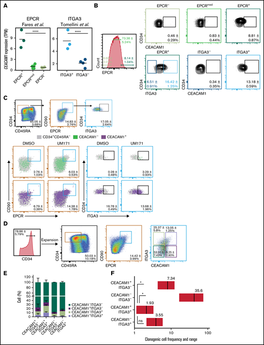 CEACAM1 expression associates with a primitive HSC phenotype. (A) CEACAM1 mRNA expression in UCB cells expanded with UM171 for 7 days and sorted based on EPCR expression from CD34+CD45RA- cells (left) or sorted based on ITGA3 expression from CD34+CD45RA-CD90+CD133+EPCR+ cells (right). RNA sequencing data are from Fares et al,12 and Tomellini et al,16 respectively. Each dot represents a biological replicate, and the median is denoted by the crossbar. TPM, transcripts per kilobase million. ****P = 3.14e-14 for EPCR+ vs EPCRmed/-, ****P = 2.79e-05 for ITGA3+ vs ITGA3- based on Kallisto/Sleuth analysis.23 (B) Proportion of CD34+CEACAM1+ cells in EPCR+, EPCRmed, and EPCR- (top panel) as well as in ITGA3+ and ITGA3- populations from UCB cells expanded with UM171 for 7 days. Percentages represent the relative size of each population in depicted gates. Data presented as mean ± SD for 6 independent biological replicates. (C) Proportion of CEACAM1+ (green) and CEACAM1- (red) cells in the CD34+CD45RA-CD90+EPCR+ subset as well as in ITGA3+ cells gated from this subset (follow reference gating) following expansion with UM171 or DMSO for 7 days. Data presented as mean ± SD for 4 independent biological replicates. (D) Sorting strategy for experiments presented in (E-G). CD34+ UCB cells were expanded for 7 days with UM171 before sorting. Data presented as mean ± SD for 10 independent biological replicates. (E) In vitro analysis of progeny of cells sorted based on CEACAM1 and ITGA3 expression following strategy presented in panel D and reintroduced in culture for 7 additional days. The bar graph represents the proportion of indicated cell populations in culture. Data are presented as mean ± SD for 3 biological replicates. (F) Estimated frequencies (red lines) presented as 1 per number of sorted cells and 95% confidence intervals (CIs) (gray boxes) of clonogenic cells in the indicated populations are shown. Cells were plated at 100, 10, and 1 cell per well. Cells were sorted from expanded cells from 2 separate UCB samples. *P = 0.05, (Mann-Whitney U test, 1-tailed). The objective of these experiments was to determine if the clonogenic cell frequency of the CEACAM1+ITGA3+ population is higher than that of the other subsets. The hypothesis assumed for this test is unidirectional, supporting the use of a 1-tailed test.