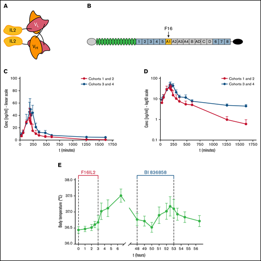 The F16IL2 immunocytokine and its ECM target TnC-A1, F16IL2 pharmacokinetics, and body temperature changes after F16IL2 and BI 836858 administration. (A) The F16 antibody fragment is composed of variable regions of human heavy and light immunoglobulin chains (VH and VL), bound into a single polypeptide chain by a flexible 5-amino-acid linker (diabody format). Two molecules of human IL-2 are fused to the C terminus of each light chain. (B) The F16 antibody selectively targets the alternatively spliced A1 domain of tenascin-C (TnC-A1), which is spliced into the TnC molecule during angiogenesis and tissue remodeling. (C-D) Pharmacokinetic F16IL2 concentration/time curves in the serum of patients from cohorts 1 and 2 vs cohorts 3 and 4. Data are presented as mean ± standard error of the mean (SEM) on a linear (C) and a logarithmic (D) scale. Three patients were excluded: UPN004 (anomalous low values caused by technical problems), UPN006 (insufficient PK sampling), and UPN901 (stability issue with serum samples). (E) Acute body temperature changes after infusion of F16IL2 on day 1 and BI 836858 on day 3. Fevers were the most frequent treatment-related AEs in the study and body temperature elevations were predominantly observed within hours after the first administration of F16IL2.