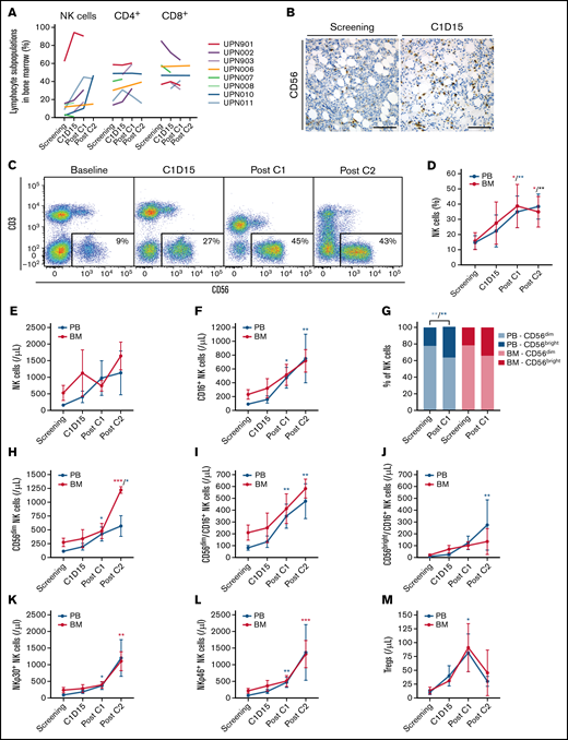 F16IL2 and BI 836858 combination therapy expands and activates NK cells. (A) Lymphocyte subsets in BM and PB were analyzed using flow cytometry at different time points during study treatment. Lymphocytes were immunophenotypically defined as CD45+/FSClow (for gating strategy see supplemental Figure 5). The most significant changes were observed in the NK-cell compartment. CD56 immunohistochemical stainings of pretherapeutic and posttherapeutic BM biopsies (UPN004) (B) and CD56 vs CD3 flow cytometry plots (UPN011) (C) illustrate progressive expansion of NK cells in BM during F16IL2 and BI 836858 combination therapy in 2 representative patients. (D) NK cell percentages (of lymphocytes) significantly increased over time in BM and PB. (E) Absolute number of NK cells in BM and PB during combination therapy. (F) F16IL2 and BI 836858 combination therapy resulted in a significant expansion of FcγRIIIA/CD16+ NK cells capable of mediating ADCC. (G) Ratios of CD56dim vs CD56bright NK cells indicated a shift toward CD56bright cells during combination therapy, but also CD56dim NK cells increased in absolute numbers (H). (I-J) CD56dim and CD56bright subsets expressing FcγRIIIA/CD16+ significantly expanded. (K-L) Number of NK cells expressing the natural cytotoxicity receptors NKp30 or NKp46 significantly increased over time. (M) Absolute numbers of Tregs peaked at the end of C1, with a subsequent decline during C2. P values indicate significant changes from values at screening as follows (mixed effects analysis of variance with Holm-Šidák corrections): *P < .05; **P < .01; ***P < .001. Data are presented as the mean ± standard error of the mean.
