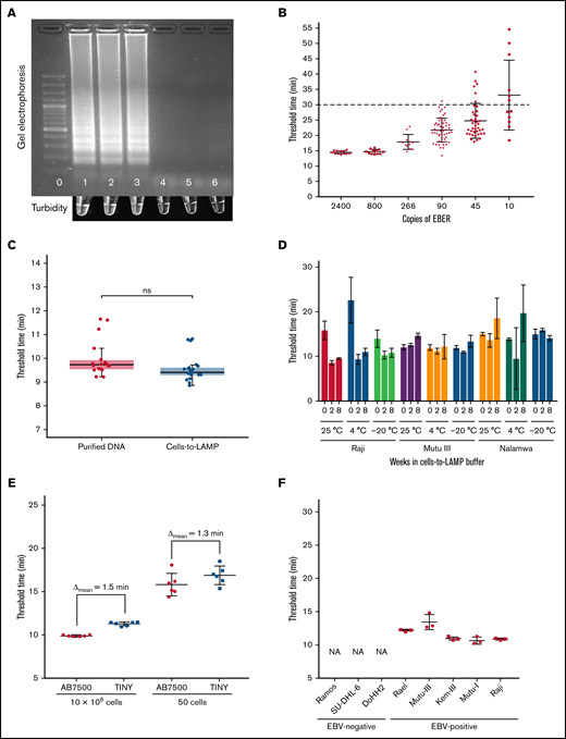 Development of LAMP for EBV and cells-to-LAMP Assay. (A) Top: gel electrophoresis results of EBER LAMP reaction run for 30 minutes in a standard thermal cycler. Bottom: in-tube turbidity immediately after reaction. Lane/tube 0: 100bp DNA ladder; lane/tube 1: 480 copies EBER plasmid DNA control; lane/tube 2: Namalwa (EBV+) DNA; lane/tube 3: Raji (EBV+) DNA; lane/tube 4: BC-3 (EBV-) DNA; lane/tube 5: Ramos (EBV-) DNA; lane/tube 6: water. (B) Amplification of serially diluted plasmid DNA amplified with EBER LAMP in real-time. Fifty of 51 samples containing 90 copies per reaction were amplified before the 30-minute threshold cutoff. (C) Amplification threshold results of purified DNA from cells with Qiagen DNeasy and the cells-to-LAMP procedure, no significant difference detected, P = .2222 by Mann-Whitney U test. Each sample contained the same number of cells (1 million cells) in the same final volume across assays. Data show combined results of 4 independent experiments containing ≥3 replicates in each group shown together. (D) Stability assessment of amplification from cell lines stored in cells-to-LAMP solution at room temperature (∼25°C), 4°C, or −20°C at 0, 4, or 8 weeks after extraction. The EBV– control Ramos was also evaluated but is not shown because no amplification was seen before our 30-minute threshold. (E) Amplification threshold times at high (10 million cells) and low (50 cells) loads in a conventional real-time thermal cycler were compared with the TINY system. (F) Cells-to-LAMP amplification times from 1 million cells from EBV+ and EBV- cell lines in TINY show specificity. The EBV– cell lines did not amplify (NA).