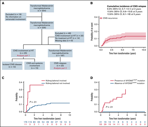 Study flowchart and estimated risk of CNS relapse in transformed WM. (A) Flowchart of inclusion. Patients with transformed WM (254) were analyzed, 235 for CNS involvement at HT and 187 for CNS relapse. (B) Cumulative incidence of CNS relapses. (C) Cumulative incidence of CNS relapse stratified by kidney/adrenal involvement. (D) Cumulative incidence of CNS relapse stratified by the presence of MYD88L265P mutation.