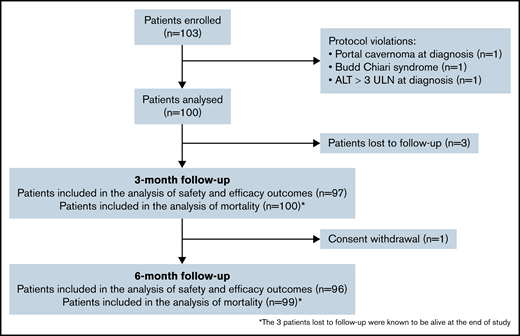Flowchart of the enrolled population.