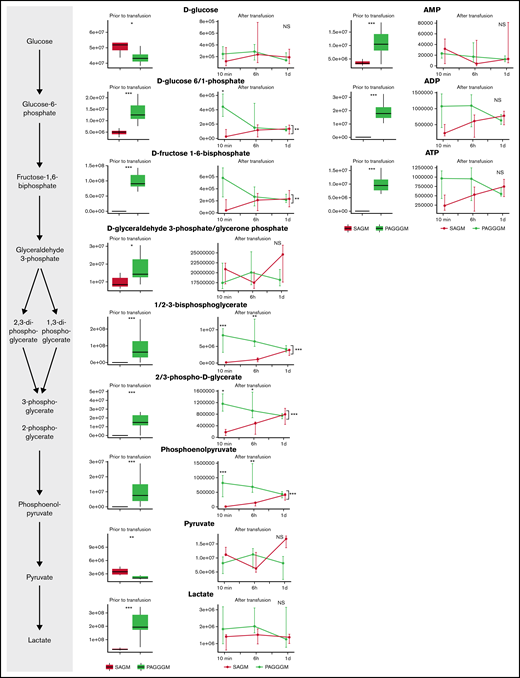 Metabolomics data of glycolysis metabolites comparing 35-day stored RBCs in SAGM with 35-day stored RBCs in PAGGGM. The boxplots show metabolite levels in RBCs before transfusion. Line plots indicate the median with 25th and 75th percentile of metabolite concentrations over time in the recovered RBCs, up to 1 day after transfusion.*P < .05, **P < .01, and ***P < .0001; NS, not statistically significant.