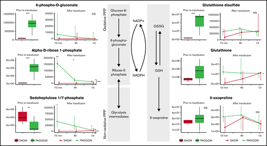 Metabolomics data of PPP and glutathione-related metabolites comparing 35-day stored RBCs in SAGM and 35-day stored RBCs in PAGGGM. The boxplots show metabolite concentrations in RBCs before transfusion. Line plots indicate the median with 25th and 75th percentile of metabolite concentrations over time in the recovered RBCs, up to 1 day after transfusion. *P < .05, **P < .01, and ***P < .0001; NS, not statistically significant.