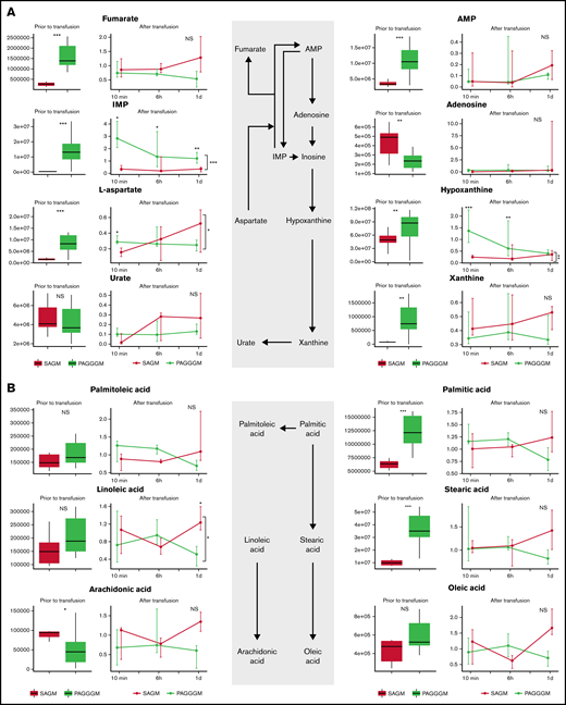Metabolome of RBCs in stored in SAGM and PAGGGM. Purine (A) and free fatty acid metabolism (B) comparing 35-day stored RBCs in SAGM and 35-day stored RBCs in PAGGGM. The boxplots show metabolite concentrations in RBCs before transfusion. Line plots indicate the median with 25th and 75th percentile of metabolite concentrations over time in the recovered RBCs, up to 1 day after transfusion. *P < .05, **P < .01, and ***P < .0001; NS, not statistically significant.