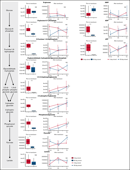 Metabolomics data of glycolysis-related metabolites comparing RBCs stored for 2 and 35 days in SAGM. The boxplots show metabolite concentrations in RBCs before transfusion. Line plots indicate the median with 25th and 75th percentile of metabolite concentrations over time in the recovered RBCs, up to 1 day after transfusion. *P < .05, **P < .01, and ***P < .0001; NS, not statistically significant.