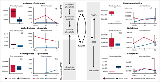 Metabolomics data of PPP and glutathione-related metabolites comparing RBCs stored for 2 days or 35 days in SAGM. The boxplots show metabolite concentrations in RBCs before transfusion. Line plots indicate the median with 25th and 75th percentile of metabolite concentrations over time in the recovered RBCs, up to 1 day after transfusion. *P < .05, **P < .01, and ***P < .0001; NS, not statistically significant.