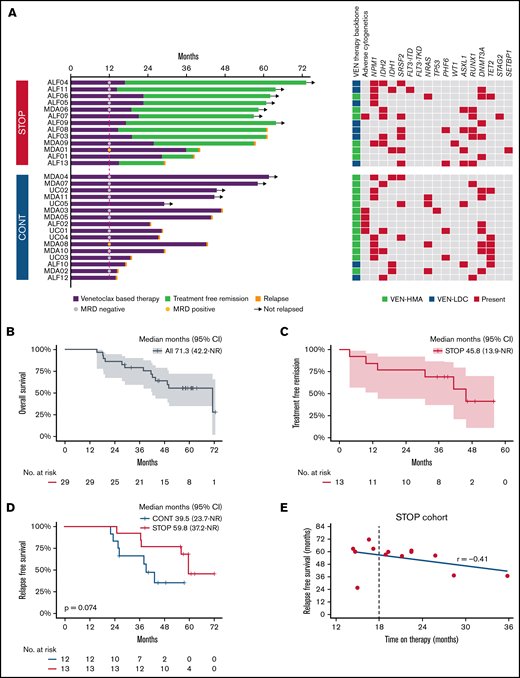 Analysis of patients receiving VEN-based therapy for at least 12 months. (A) Natural history among patients receiving VEN-based therapy for at least 12 months following a STOP or CONT therapy strategy. Bars indicate exposure to VEN-based therapy, MRD status at 12 months, TFR in the STOP cohort, relapse events (red cap), ongoing remission (arrows), treatment received, and baseline cytogenetic/genetic mutation profile. (B) OS in the entire cohort from commencement of VEN-based therapy. (C) Kaplan-Meier curve showing TFR in the STOP cohort. (D) RFS in the STOP and CONT cohorts landmarked at 19.3 months from day 1 of therapy. (E) Correlation between duration of therapy received and RFS.