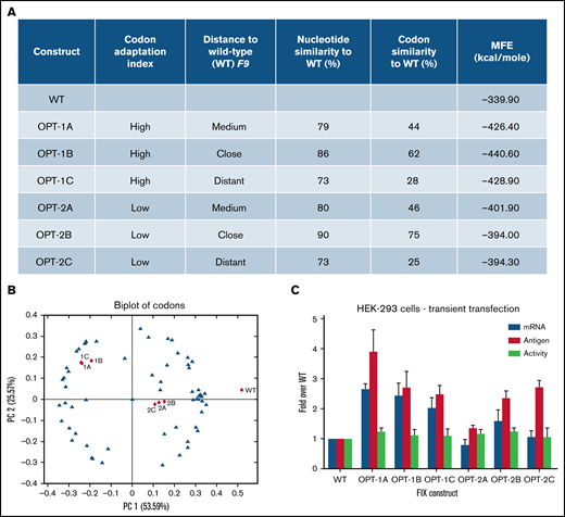 Codon usage variable and properties of wild-type and recoded F9 sequences. (A) The underlying primary codon usage variables, namely CAI and similarity to wild-type sequence employed in the design of recoded F9 constructs. Constructs were designed to have either “high” (1A, 1B, and 1C) or “low” (2A, 2B, and 2C) CAI and “close” (1B and 2B), “medium” (1A and 2A), or “distant” (1C and 2C) similarity to wild-type sequence. Percentages of nucleotides and codons altered in recoded sequences and in silico–predicted minimum free energies (MFE) of resulting mRNA structures were also shown. (B) A biplot of codons of wild-type and recoded F9 sequences showing the segregation of sequences based on codon adaptation indices of constructs. (C) Antigen and mRNA expression data and activity levels of wild-type and recoded F9 sequences in transient transfection experiments. Recoded constructs demonstrated higher levels of F9 mRNA and FIX antigen expression. Data are represented as mean ± standard deviation. WT, wild-type.