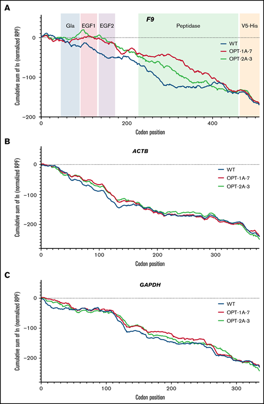 RPF distribution along F9, ACTB, and GAPDH genes. The cumulative sum of normalized and log-transformed RPF density along the F9 (A), ACTB (B), and GAPDH (C) genes in lentiviral-transduced stable expression cell lines of wild-type (WT), OPT-1A, and OPT-2A constructs is shown. FIX domain structure is included in panel A to illustrate the local translation kinetics differences. (A) Distinct RPF profiles for both OPT-1A and OPT-2A variants compared with WT. On the other hand, the RPF profiles in the identical C-terminal V5-His tag regions of F9 constructs (A) and control genes ACTB (B) and GAPDH (C) are similar.