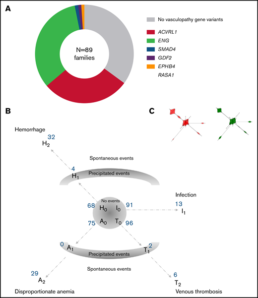 HHT genes and phenotypic associations. (A) Endothelial vasculopathy genes and variants identified in current study cohort. Note that the major HHT genes are ACVRL1 (red) and ENG (green).6-8SMAD46,9 is less common, and GDF2 was more recently described as HHT causal,44 whereas EPHB4 and RASA1 cause separate endothelial vasculopathies (CM-AVM2 and CM-AVM1) that overlap phenotypically with HHT. (B) Schematic of the cohort of 104 patients plotted on 4 separate axes for hemorrhage (H), anemia (A), thrombosis (T), and deep-seated infection (I). Ten deep-seated infections were in association with concurrent and presumed causative pulmonary AVMs (cerebral and spinal abscesses, spinal discitis, and septic arthritis due to polymicrobial flora, particularly anaerobic and aerobic commensals of the gastrointestinal and periodontal spaces31-33). Blue numbers indicate the number of the cohort with no events/no excess (H0, A0, T0, and I0), precipitated events (H1, A1, T1), and spontaneous events (H2, A2, T2, and I1). I1 were cerebral abscess (N = 6), spinal discitis (N = 2), spinal abscess (N = 1), septic arthritis (N = 1), recurrent bacterial endocarditis (N = 1), osteomyelitis (N = 1), and recurrent sepsis (N = 1). (C) Violin plots for ACVRL1 (left, red) and ENG (right, green) patients orientated on the 3 axes as in (B).