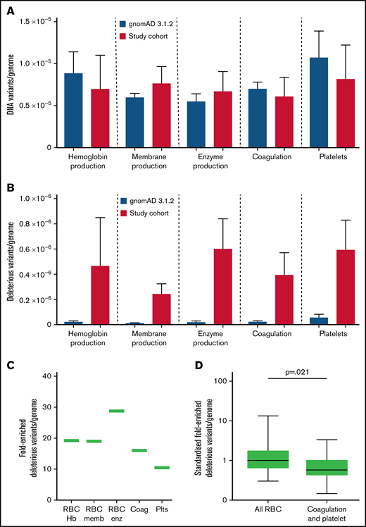 Variant burden in HHT cohort compared with general population. (A) Number of variants in the 75 study genes by category, within the gnomAD 3.1.2 dataset (blue) and current cohort (red) per genome. (B) gnomAD 3.1.2 dataset loss of function (pLOF) variants compared with CADD >15 genes in study cohort per genome, with mean and standard error illustrated. (C) Fold-enriched total number of deleterious variants per category, in all 75 genes, for HHT CADD >15 variants compared with pLOF variants in gnomAD 3.1.2 dataset.69 (D) Comparison of fold-enriched deleterious variants limiting to HHT CADD >15 variants and gnomAD pLOF variants in the same genes. P value calculated by Mann-Whitney test.