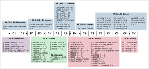 Variants identified in 321 patients with VWD type 2. Eighty-two unique variants, including 8 novel variants, were found. A vast majority (78%) of identified variants were missense substitutions, although other types, such as gene conversions (12%), synonymous variants (1%), splice variants (4%), and deletions (5%), were also observed. Nevertheless, in dominant VWD types (2A, 2B, and 2M), all variants identified always led to the synthesis of mutated VWF. Most patients were heterozygotes for a single variant (n = 259; 81%), whereas 37 patients (11%) had 2 variants: 4 (1%) were homozygotes, and 9 (3%) were in trans and 24 (7%) in cis position. Twenty-five patients (8%) had ≥3 variants, mainly as a result of gene conversion. #Six distinct gene conversions in type 2B NY were determined, and p.Pro1266Leu was the core variant.