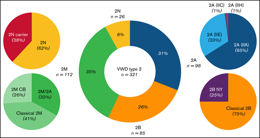 Frequency spectrum of 321 patients diagnosed with VWD type 2 in the Milan cohort study. Type 2M was the most common type (35%), followed by 2A (31%), 2B (26%), and 2N (8%). In type 2M, 41% of patients had variants at the VWF A1 domain, with a platelet-binding defect (classical 2M), whereas 26% had variants at the A3 domain, with a collagen-binding defect (2MCB). Almost one third of type 2M patients (33%), with variants in the A1 domain, shared a similar phenotype between type 2M and 2A, and they were classified as 2M/2A. In type 2A, 65% of patients had variants located at the A2 domain, with an enhanced susceptibility for ADAMTS-13, and were classified as 2A(IIA), with an exceptional case in the A1 domain. The remaining 33% were located at the D3 domain, with multimerization defects, and were classified as 2A(IIE). Patients with a diagnosis of type 2A(IIC) or 2A(IIH) made up only 2% of the type 2A cohorts. Most patients with 2B (75%) had variants at the A1 domain, with a platelet-binding defect (classical 2B), and the rest (25%) had variants at the D3-A1 junction, classified as 2B NY. Patients with 2N were mainly compound heterozygotes for 2N/type 1 or 3 (46%), and only 16% were homozygotes for the 2N variant. Type 2N carriers accounted for 38% of the 2N population.