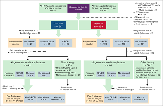 Patient flow diagram. MDS EB, myelodysplastic syndrome with excess blasts.