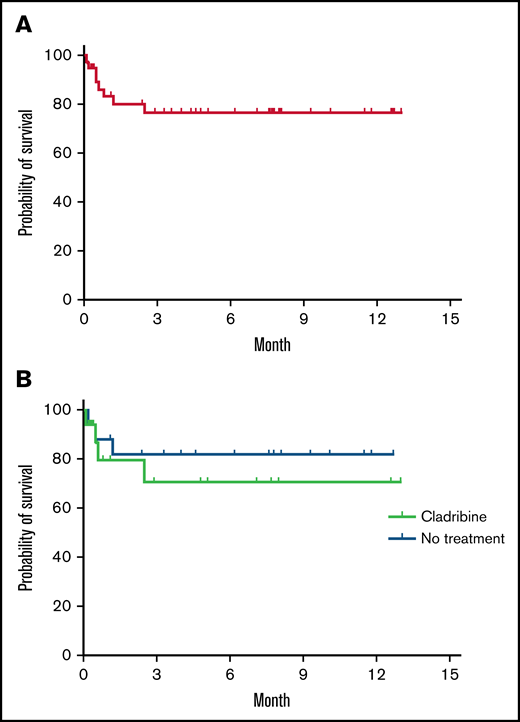 Overall survival of patients with COVID-19 and HCL. Probability of overall survival of 39 patients with hairy cell leukemia after COVID-19 diagnosis (A) and comparison of the survival of 17 patients who had a previous treatment with cladribine with 19 patients who received no treatment (B). Kaplan-Meier survival analysis made with Prism 9 version 9.3.1 (GraphPad 2021).