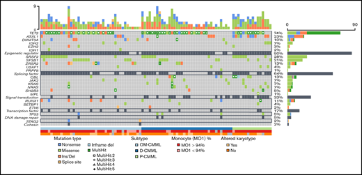 Next-generation sequencing mutational profile of patients with OM-CMML, D-CMML, and P-CMML.
