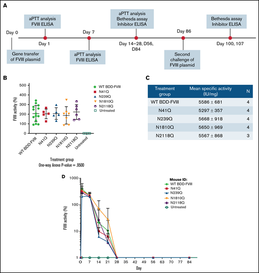 In vivo experimental layout and comparison of activities of mutated FVIII variants and WT BDD-FVIII. Groups of HA mice were injected hydrodynamically with plasmids encoding WT BDD-FVIII and 4 N-glycosylation site mutated FVIII variants, respectively. (A) The experimental schedule of first and second challenges of FVIII plasmids via hydrodynamic injections and periodic blood collection for aPTT analysis, Bethesda assay, and inhibitor enzyme-linked immunosorbent assay (ELISA). (B) FVIII activities in plasma by aPTT at 1 week after plasmid injection. P = .95 calculated using 1-way analysis of variance among all plasmid treated groups. Untreated mice were used as negative controls. (C) Specific activities of each FVIII variant compared with WT BDD-FVIII. Antigen levels of FVIII were evaluated using a FVIII-specific ELISA. N indicates the number of animals per group. (D) FVIII activities evaluated over time. WT BDD-FVIII: N = 14; N41Q: N = 5; N239Q: N = 5; N1810Q: N = 7; N2118Q: N = 6; untreated: N = 4. Experiments for each group were repeated at least 3 times. Data are presented as averages from repeated experiments, with error bars indicating standard deviation.