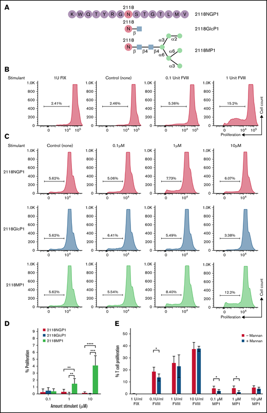CD4+ T-cell proliferation in response to FVIII glycosylated peptides. (A) A graphic representation of the synthetic 15 amino-acid peptides corresponding to N-glycosylation site 2118 was shown. A non-glycosylated peptide, 15 amino acids in length, centered around site N2118 (2118NGP1) was modified with the addition of either a single GlcNAc residue (2118GlcP1) or a high mannose glycan Man6GlcNAc2 (2118MP1). (B) CD4+ T-cell proliferation levels in response to 1 U of FIX as a non-specific control, no stimulant as the negative control, and increasing doses of rFVIII (0.1 and 1 U). (C) CD4+ T-cell proliferation rates measured after stimulation with 2118NGP1, 2118GlcP1, and 2118MP1 synthetic peptides, respectively. (D) Summary of the comparison of CD4+ T-cells proliferative rate after stimulation with different synthetic peptides from multiple experimental runs. The background was subtracted for each run. The data are presented as means with standard deviation from 3 separate experiments (**P < .01; ***P < .001; ****P < .0001). (E) CD4+ T-cell proliferation rates in response to FVIII and MP1 in the presence or absence of mannan, respectively (*P < .05).