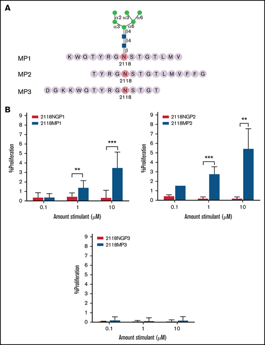 CD4+ T-cell proliferation in response to overlapping mannosylated peptides. (A) Peptides, 15 amino acids in length, overlapping with 2118MP1 were synthesized with high-mannose glycan Man6GlcNAc2 attachments. (B) CD4+ T-cell proliferation levels were measured in response to mannosylated peptides MP1 (top left panel), MP2 (top right panel), and MP3 (bottom panel) and their non-glycosylated counterparts (NGP1, NGP2, and NGP3). The data are presented as means with standard deviation from 3 separate experiments (**P < .01; ***P < .001).