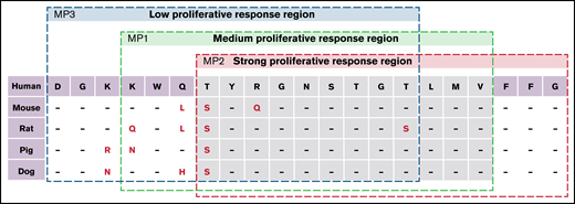 Homology of FVIII peptides representative of site N2118. The amino acid sequences of 2118MP1, 2118MP2, and 2118MP3 were compared between the homologous sequences in human, mouse, rat, pig, and dog species.