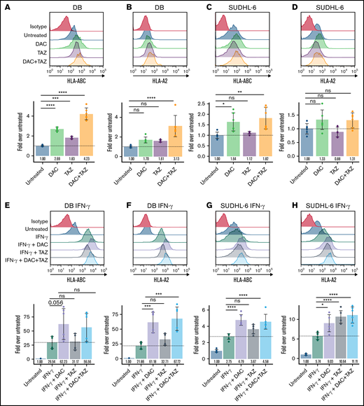 Decitabine (DAC) and tazemetostat (TAZ) upregulated HLA protein in DLBCL cell lines. (A-D) Cells were treated with indicated 125 nM decitabine or 1 μM tazemetostat. DB and SUDHL-6 cells were assayed for HLA-A, -B, and -C or HLA-A-02 expression by flow cytometry. (E-H) Cells were treated as in panels A-D along with 100 ng/mL IFN-γ. Analysis of variance (ANOVA) was performed using either untreated (panels A-D) or IFN-γ alone (panels E-H) as control, followed by a post hoc Tukey’s test for individual experimental groups. Mean ± standard deviation (SD) is shown for 3 technical replicates per 2 biological replicates. ns, not significant. *P < .05; **P < .01; ***P < .001; ****P < .0001.