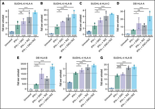 Decitabine and tazemetostat activated transcription of HLA alleles on DLBCL cell lines. (A-G) SUDHL-6, DB, and SUDHL-4 cells were treated with indicated drugs (decitabine, 100 nM; tazemetostat, 1 μM; IFN-γ, 10 ng/mL). Graph of fold-change in transcript to untreated for each indicated gene (panels A, D, F) HLA-A, (panels B, E, G) HLA-B, and (panel C) HLA-C. ANOVA was performed using IFN-γ alone as control, followed by a post hoc Tukey’s test for individual experimental groups. Mean ± SD is shown for 3 technical replicates per 2 biological replicates. *P < .05; **P < .01; ****P < .0001.