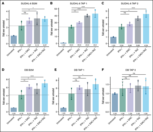 Decitabine and tazemetostat activated transcription of antigen-presentation genes in DLBCL cell lines. (A-F) SUDHL-6 and DB cells were treated with indicated drugs (decitabine, 100 nM; tazemetostat, 1 μM; IFN-γ, 10 ng/mL). Graph of fold-change in transcript to untreated for each indicated gene (panels A, D) B2M, (panels B, E) Tap1, (panels C, F) Tap2. Mean ± SD is shown for 3 technical replicates per 2 biological replicates. *P < .05; **P < .01; ****P < .0001.