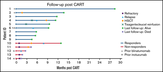 Swimmer plot illustrating the clinical course of patients with infant B-ALL following CART infusion.