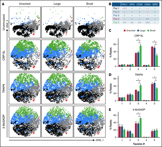 Population analysis of multicolor flow cytometry data with platelet surface and activation markers on the size-separated platelet fractions. Isolated, size-separated platelets were stimulated with 5 µg/mL CRP-XL, 20 µM TRAP-6, or 5 µM 2-MeSADP and stained simultaneously for PAC1, GPVI, CD36, CD63, and GPIX for 15 minutes before fixation and measuring 10 000 events per sample. Clustering tools (FlowSOM) and a dimensionality reduction algorithm (tSNE) were used to analyze and visualize these multicolor flow cytometry data. (A) Representative tSNE plots with a FlowSOM population filter of the different platelet fractions (unsorted, large, and small) under different stimulations. A heatmap showing the individual profiles of platelet populations per sample is shown in supplemental Figure 2. (B) Characterization of the FlowSOM clusters (5 populations; 1-5). (C-E) Distribution profile of platelet populations upon stimulation with CRP-XL (C), TRAP-6 (D), or 2-MeSADP (E), respectively, resulting from FlowSOM analysis for the different platelet size fractions. Mean ± standard error of mean; n = 4. *P < .05.
