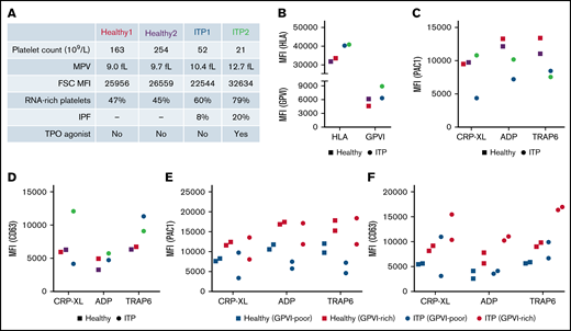 Findings confirmed in patients with higher proportion of immature platelets (ITP patients). (A) Platelet indices per donor, including count, mean platelet volume (MPV), flow cytometric forward scatter median fluorescence intensity (MFI), proportion of RNA-rich platelets obtained as in supplemental Figure 5, immature platelet fraction (IPF), and whether donor received thrombopoietin (TPO) receptor agonist. (B-D) Flow cytometric measurements of expression levels of GPVI and HLA-I in resting platelets (B), and PAC1 (C) and CD63 (D) upon stimulation with CRP-XL (5 µg/mL), 2-MeSADP (5 µM), or TRAP-6 (20 µM) per donor. Details on color coding are given in panel A. PAC1 (E) and CD63 (F) expression levels were determined for GPVI-rich (top 25% expressing) platelets and for GPVI-poor (rest of platelets; 75%) platelets for each agonist. Mean ± standard error of mean; n = 2 per group.