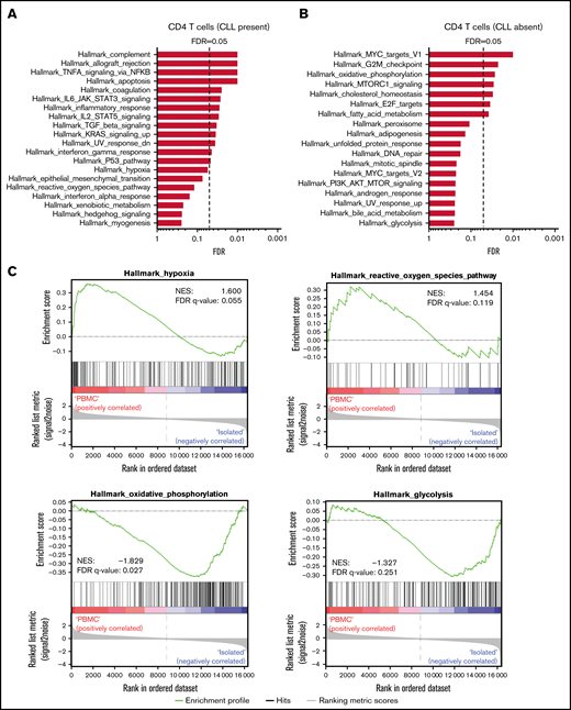 ROS and hypoxia pathways are upregulated in activated CD4 T cells in presence of CLL, whereas OXPHOS and glycolysis are upregulated in absence of CLL. PBMCs from patients with CLL and HDs were thawed, after which CD4 T cells from patients with CLL and HDs were cell sorted or not and subjected to CD3 plus CD28 stimulation for 2 days. GSEA against MSigDB Hallmark gene sets (h.all.v7.4) of 4 patients with CLL resulted in several pathways significantly upregulated in presence (A) and absence (B) of CLL cells. (C) Enrichment plots highlighting hypoxia, ROS, OXPHOS, and glycolysis pathways from analysis depicted in panels A and B. Genes are ranked by differential expression in PBMCs vs isolated cells on the x-axis; red indicates upregulation in PBMCs, and blue indicates upregulation in isolated cells. Curves (green) indicate cumulative enrichment quantified by enrichment score on the y-axis. Tick marks on the x-axis correspond to ranks of genes in the gene set. (D) Heat map showing differentially expressed genes in CLL-derived CD4 T cells stimulated with CD3 plus CD28 antibodies in presence or absence of CLL cells. Genes correspond to hypoxia, ROS, OXPHOS, and glycolysis pathways. Sorted or unsorted CD4 T cells from patients with CLL and HDs were stimulated with CD3 plus CD28 antibodies and analyzed for expression of CD25 and CD71 (E) and GLUT-1 expression and glucose uptake (2-NBDG) (F) using flow cytometry. (D-F) Each point represents a different HD or patient with CLL. Data are presented as mean ± standard error of the mean. ***P < .001, ****P < .0001. FDR, false-discovery rate; MFI, mean fluorescence intensity; ns, not significant.