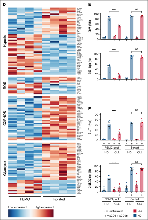 ROS and hypoxia pathways are upregulated in activated CD4 T cells in presence of CLL, whereas OXPHOS and glycolysis are upregulated in absence of CLL. PBMCs from patients with CLL and HDs were thawed, after which CD4 T cells from patients with CLL and HDs were cell sorted or not and subjected to CD3 plus CD28 stimulation for 2 days. GSEA against MSigDB Hallmark gene sets (h.all.v7.4) of 4 patients with CLL resulted in several pathways significantly upregulated in presence (A) and absence (B) of CLL cells. (C) Enrichment plots highlighting hypoxia, ROS, OXPHOS, and glycolysis pathways from analysis depicted in panels A and B. Genes are ranked by differential expression in PBMCs vs isolated cells on the x-axis; red indicates upregulation in PBMCs, and blue indicates upregulation in isolated cells. Curves (green) indicate cumulative enrichment quantified by enrichment score on the y-axis. Tick marks on the x-axis correspond to ranks of genes in the gene set. (D) Heat map showing differentially expressed genes in CLL-derived CD4 T cells stimulated with CD3 plus CD28 antibodies in presence or absence of CLL cells. Genes correspond to hypoxia, ROS, OXPHOS, and glycolysis pathways. Sorted or unsorted CD4 T cells from patients with CLL and HDs were stimulated with CD3 plus CD28 antibodies and analyzed for expression of CD25 and CD71 (E) and GLUT-1 expression and glucose uptake (2-NBDG) (F) using flow cytometry. (D-F) Each point represents a different HD or patient with CLL. Data are presented as mean ± standard error of the mean. ***P < .001, ****P < .0001. FDR, false-discovery rate; MFI, mean fluorescence intensity; ns, not significant.