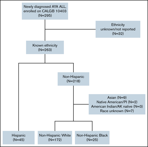 Consort diagram of CALGB 10403 enrollees by race/ethnicity.