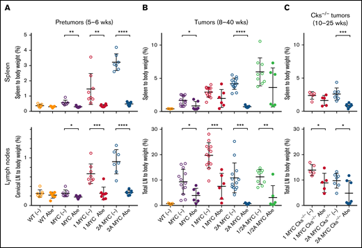 LMP2A/λ-MYC tumors are sensitive to CDK4/6 inhibitor abemaciclib treatment, whereas λ-MYC and LMP1/λ-MYC tumors are resistant. (A) 5-week-old pretumor mice of indicated phenotypes were treated with 1XPBS 0.5% methylcellulose as vehicle only (−) or 100 mg/kg per day abemaciclib (Abe) via oral gavage daily for 7 days and then sacrificed for the analysis at 6 weeks. Percentage masses of cervical lymph nodes were calculated for spleen and cervical lymph nodes. (B) Mice harboring tumors at ages of 8 to 40 weeks were treated with 1XPBS 0.5% methylcellulose only (−) or 100 mg/kg per day Abe daily for 7 days, and the percentage mass of spleen and total lymph node tumors developed in cervical, axillary, abdominal, and thoracic area were analyzed. Equivalent-age WT mice not treated with Abe were included as no tumor controls. (C) LMP2A/λ-MYC/Cks1−/− mice harboring tumors at the ages of 10 to 25 weeks were treated with 1XPBS 0.5% methylcellulose only (−) or 100 mg/kg per day Abe daily for 7 days, and their percentage mass of spleen and total lymph node tumors were analyzed. Dot plot graphs represent the mean ± standard deviation. P values were calculated by unpaired t test, *P < .05, **P < .01, ***P < .001, and ****P < .0001.