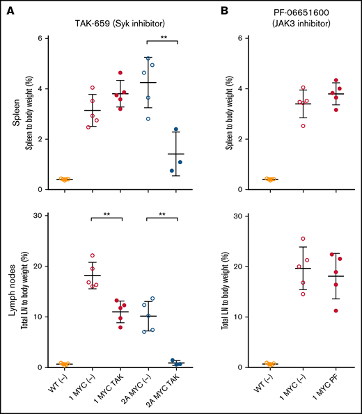 Selective inhibitors for Syk or Jak3 do not eliminate LMP1/λ-MYC tumors. Mice harboring tumors were treated with 100 mg/kg/day TAK-659 (Syk inhibitor) daily for 10 days (A) or 25 mg/kg/day PF-06651600 (JAK3 inhibitor) daily for 10 days (B). Percentage masses were calculated for spleen and total lymph nodes. Equivalent-age WT mice were included as no tumor controls. Dot plot graphs represent the mean ± standard deviation. P values were calculated by unpaired t test, **P < .01.