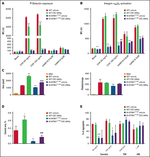 Platelet function WT and KI-STIM1I115F (A-B) P-selectin (A) and integrin αIIbβ3 exposure after 10-minute stimulation with the indicated stimuli. (C) platelet spreading to collagen in static conditions, indicated as are of adherent cells (left), and number of adhered platelets (right); BSA was used as negative control in place of collagen. (D) Thrombus formation under flow, indicated as percentage of platelet covered area; Mann-Whitney U test (n = 6 per group) P value: ^^^≤0.0002, ^^≤0.0039 WT vehicle vs KI-STIM1I115F vehicle; *****<0.00001 WT vehicle vs WT CIC-39Na and ##≤0.0036 KI-STIM1I115F vehicle vs KI-STIM1I115F CIC-39Na. Supplemental Figure 4A-B depicts fluorescent microscope images of the results; (E) % of aggregated platelets in the indicated conditions. To reach similar aggregations, WT platelets were diluted 1:3. Supplemental Figure 4C depicts slopes.