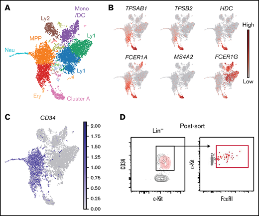 Expression of FcεRI subunit genes in hematopoietic progenitors is associated with a mast cell gene signature. (A) UMAP visualization of the single-cell transcriptomes of 6874 Lin− c-Kit+ peripheral blood cells. The colors indicate Leiden clusters. Expression patterns of lineage genes used to annotate the landscape are provided in supplemental Figure 1. (B) Gene expression levels of mast cell genes and FcεRI subunit genes. (C) Gene expression of CD34. (D) Post-sort flow cytometry analysis of Lin− c-Kit+ cells. The red contour plot shows back-gated FcεRI+ cells. One buffy coat was used to produce the data presented in this figure.
