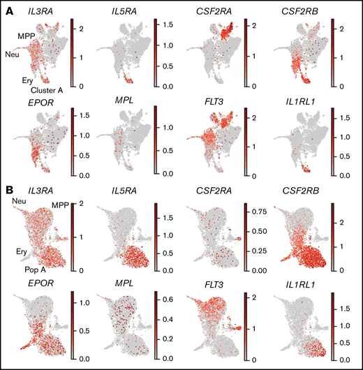 Mast cell progenitors express transcripts of the receptors for IL-3, IL-5, EPO, and IL-33. The graphs show gene expression levels of the indicated cytokine receptors. (A) UMAP visualization of Lin− c-Kit+ cells (data set 1). (B) UMAP visualization of Lin− CD34+ c-Kit+ cells (data set 2). Ery, erythroid; MPP, multipotent progenitor; Neu, neutrophil; Pop A, population A.