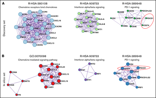 Coexpression network of THRLBCL immune genes. (A) The 3 highest score gene modules identified in the discovery set were interrogated in terms of functional pathway analysis by using the Metascape tool.15 Each gene is colored in light blue, light green, and dark green according to the gene module to which they belong. (B) Three high score gene modules were identified in the in silico set by using Metascape. Each gene is colored in red, purple, and blue according to the different membership module. In panels A and B, the genes are represented by circles, proportional in size to the number of genes of each module. The thickness of edges indicates the similarity score. The red dashed line highlights the axis PD-1/CD274 (PD-L1).