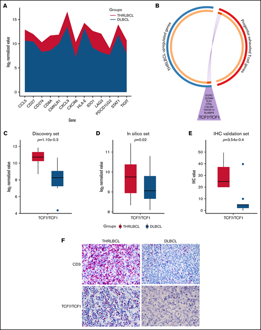 Progenitor exhausted T-cell genes upregulated in THRLBCL. (A) The stacked area chart displays the gene expression value of 13 TIS genes in the THRLBCL (purple) and DLBCL (light blue) cases of the discovery set. (B) Circos plot shows the overlap between the 2 gene lists: the list of genes upregulated in THRLBL vs DLBCL (in blue) and the list of genes upregulated in progenitor exhausted T cells vs terminally exhausted T cells (in red). The 2 gene lists are on the outside (red/blue); the orange circle on the inside represents genes that were unique to each gene list, and the dark orange represents genes shared by the 2 gene lists. Purple lines link the same genes shared by the 2 lists. The names of the shared genes are reported in the purple triangle. Box plot histograms represent the expression value of TCF7/TCF1 gene in terms of log2 normalized gene counts in THRLBCL vs DLBCL samples analyzed by using the NanoString immune gene panel in the discovery set (C) and in the in silico set (D). (E) Box plot histograms represented the percentage of cells positive for TCF1 protein by IHC. (F) CD3 and TCF1 immunostaining showed higher expression in THRLBCL vs DLBCL cases (Olympus BX53 light microscope, Olympus DP71 camera; original magnification, 60×). Statistical significance was calculated by using the Mann-Whitney U test.