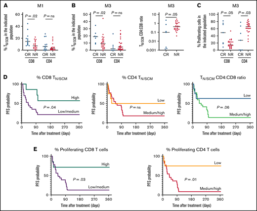 Characteristics of apheresed T cells and clinical responses to tisa-cel. (A) Higher frequency of CD8 TN/SCM, but not of CD4 TN/SCM, in the starting material from 13 patients with early objective response (OR; ie, partial or complete response) compared with 17 nonresponders (NR; stable or progressive disease) at 1 month (M1). Comparisons between groups based on the Mann-Whitney test. Two-sided P values are indicated. ns, not significant. (B) Higher proportion of CD8 TN/SCM (left panel) and lower CD4N/SCM/CD8N/SCM ratio (right panel) in the starting material from 7 complete responders (CR) compared with 23 NR at 3 months (M3). (C) In vitro proliferative capacity of apheresed CD8 T cells is higher and that of CD4 T cells is lower in CR than in NR at M3. Bars represent the median. (D) Effect of apheresed CD8 TN/SCM (left panel), CD4 TN/SCM (middle panel) cells, and CD4 TN/SCM/CD8 TN/SCM ratio (right panel) in the starting material on 1-year PFS. P values calculated using the log-rank test. “High” and “low” proportions refer to the 4th and 1st quartiles, respectively. (E) PFS is significantly increased in patients with “high” proportions of proliferating CD8 cells (left panel) and “low” proportions of proliferating CD4 T cells (right panel) in the starting material.